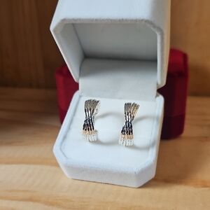 Elegant Silver and Black Earrings